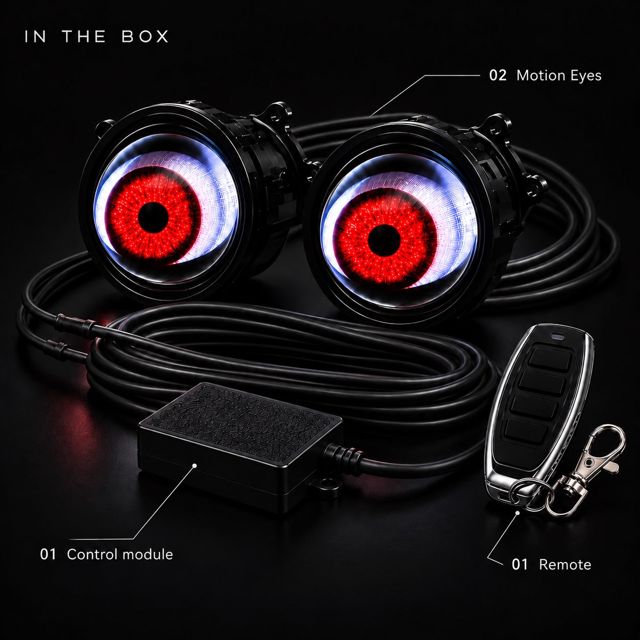 Kit contents: two Motion Eyes, one control module and one remote
